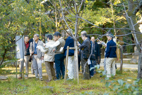 勝海舟がよく散歩に行った氷川神社の境内。もともとは「忠臣蔵」の浅野内匠頭の正室・遥泉院の実家。浅野内匠頭が切腹した後、ここで住む